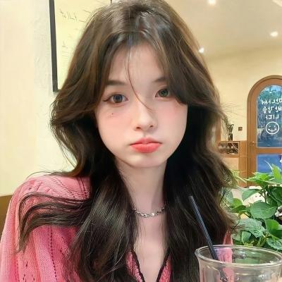 生活大爆炸  第五季